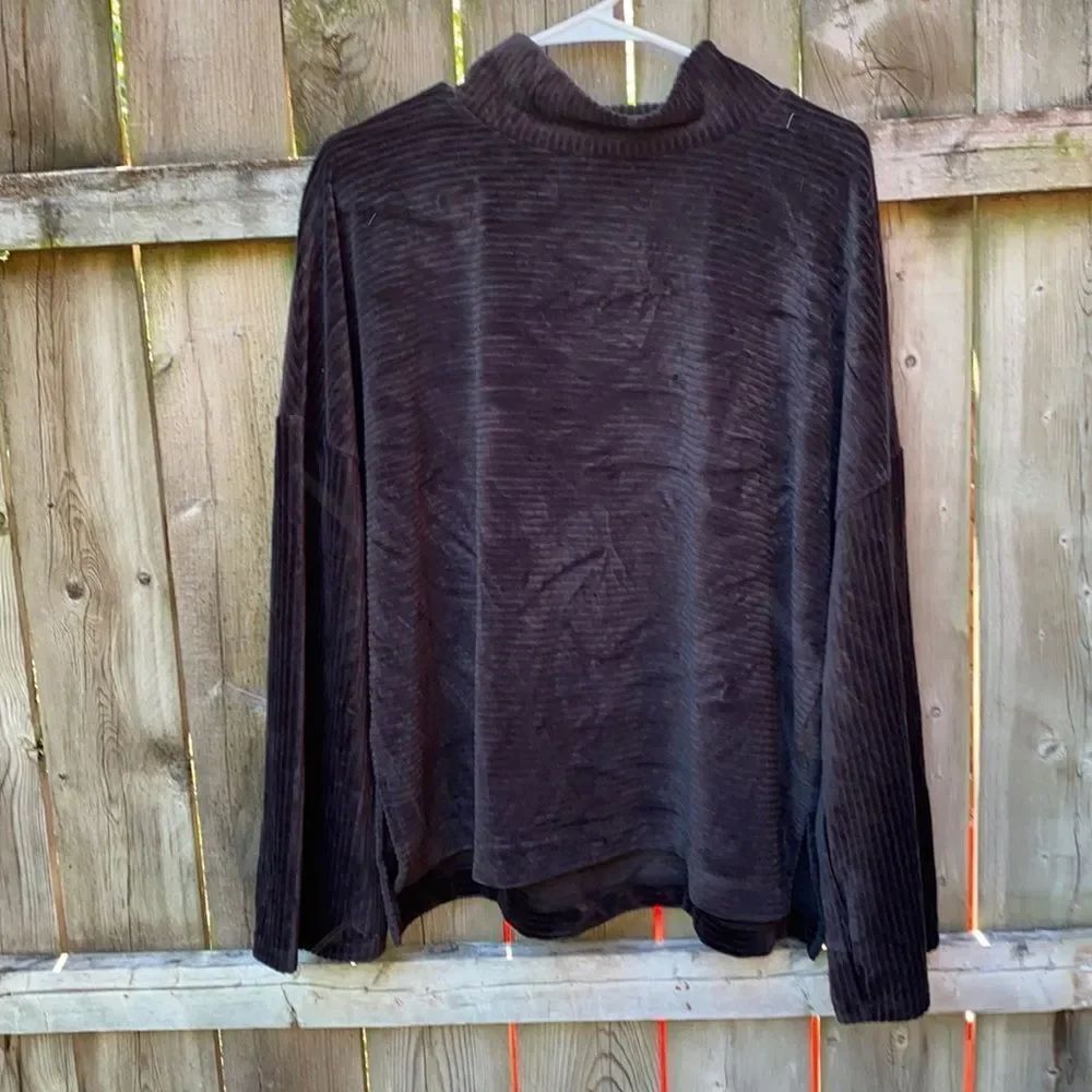 Time and Tru Velvet turtleneck sz. L